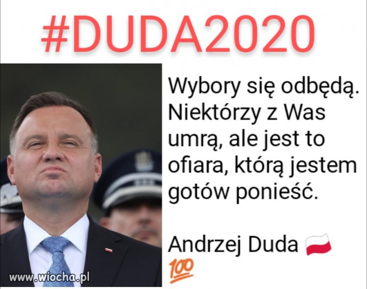 Wybory