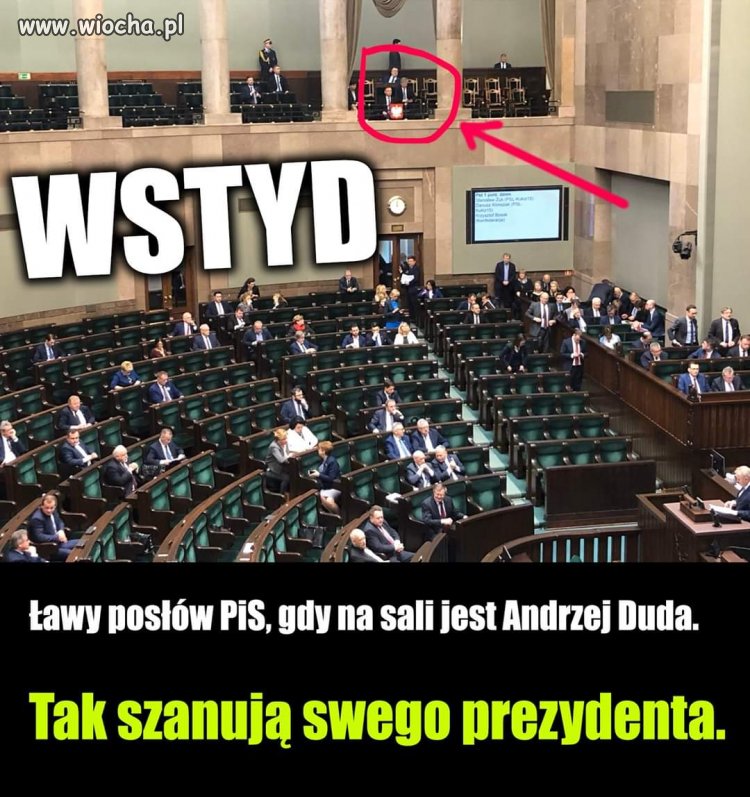 Żadna 