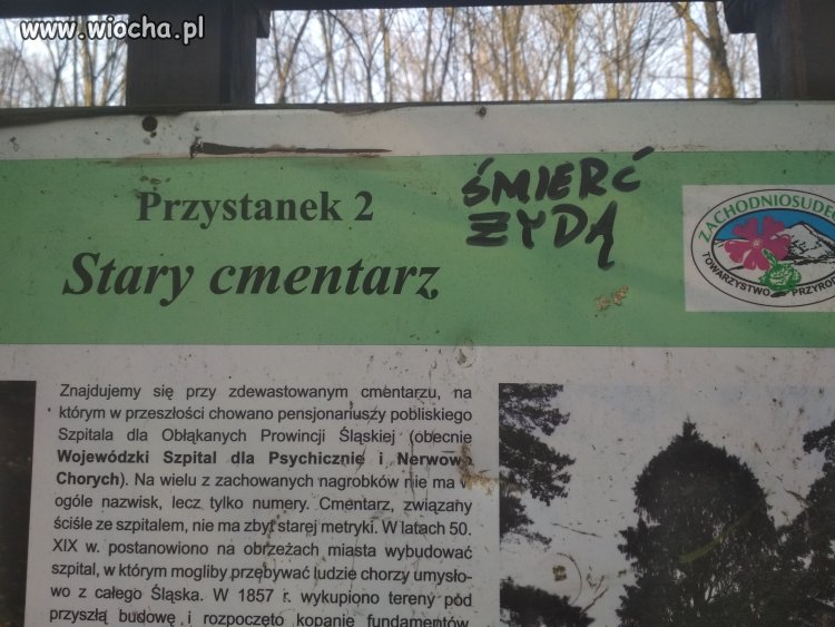 Wizyta prawdziwego Polska w lesie i jego popis pis