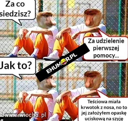 Opaska 