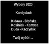 Wybory 2020