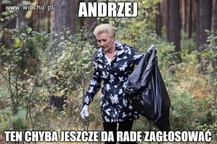 W poszukiwaniu elektoratu