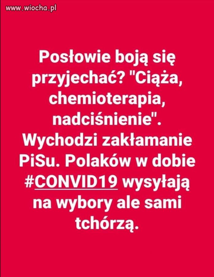 Chojraki z PiSu 