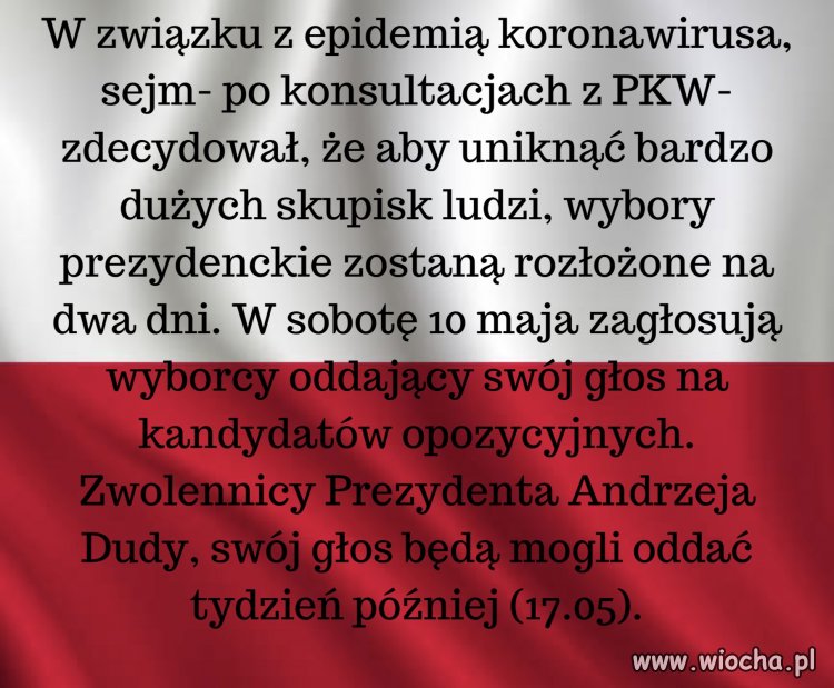 Wybory