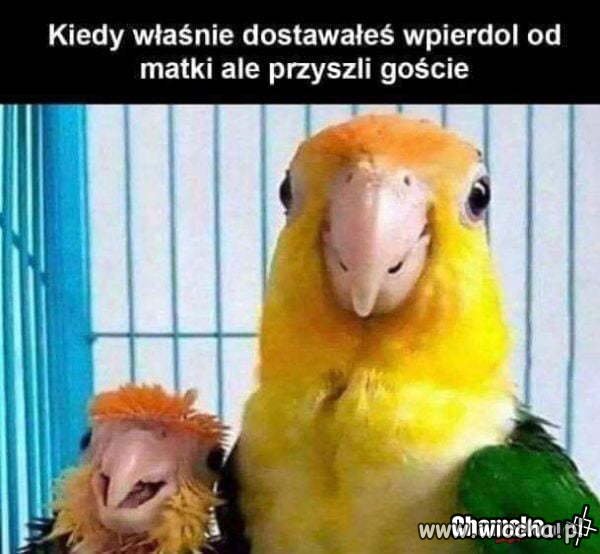 Dobra mina 