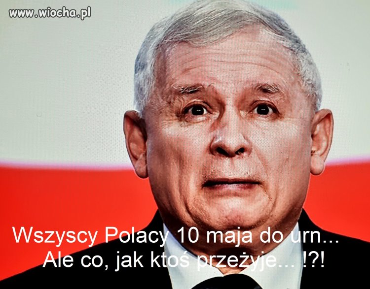 Bez tytułu.