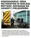 Dziki kraj