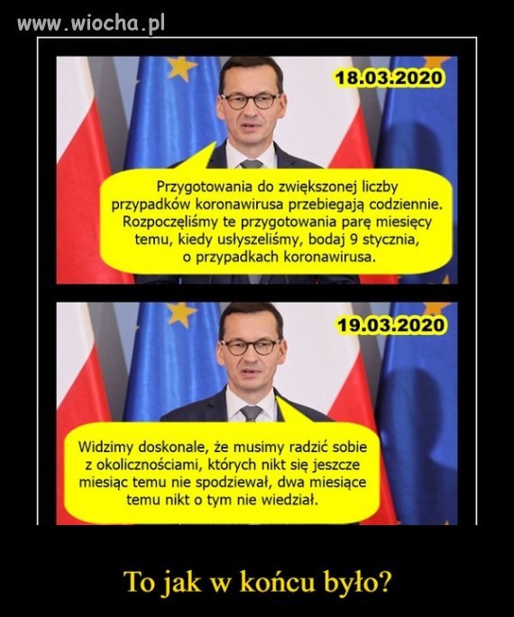 Czy on jest normalny czy tylko tak wygląda 