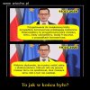 Czy on jest normalny czy tylko tak wygląda 