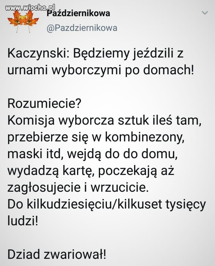 Kogoś tu pogięło
