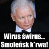 Co tam wirus ...