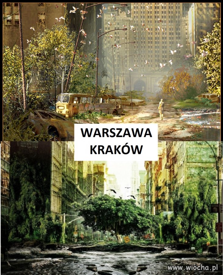 Polskie miasta po tygodniu kwarantanny