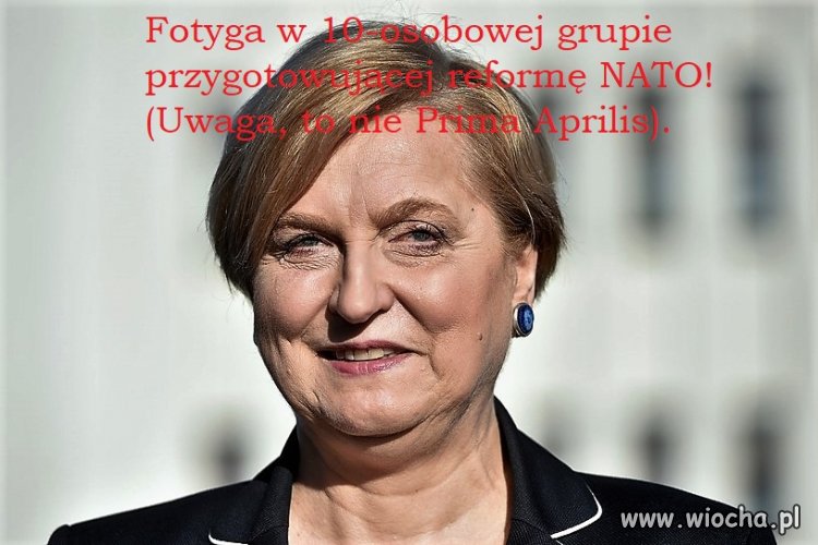 Fotyga w Grupie Mędrców NATO.