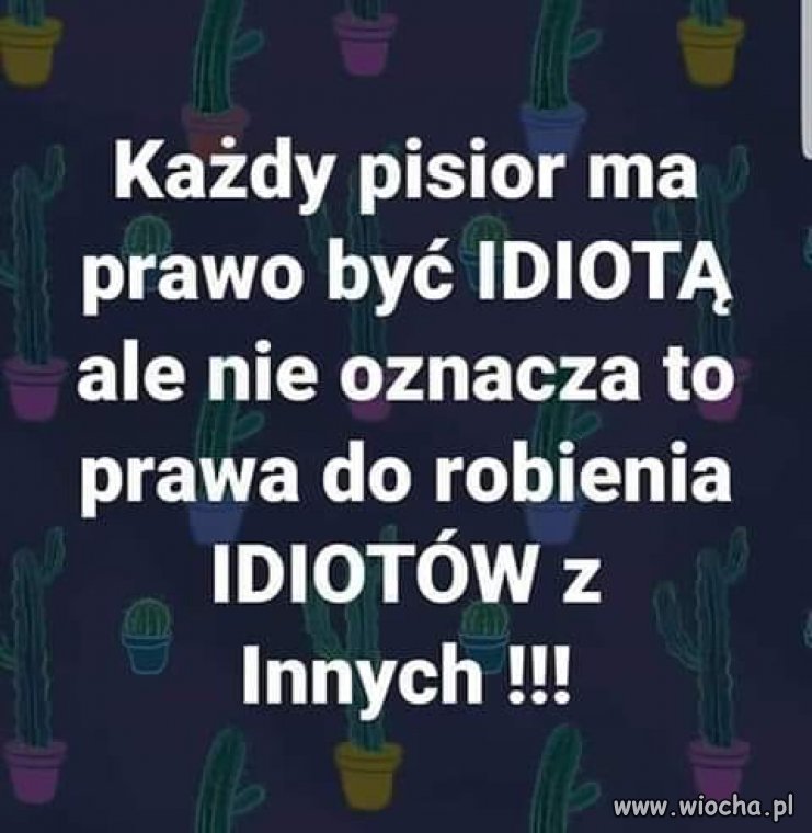 Kilka słów 