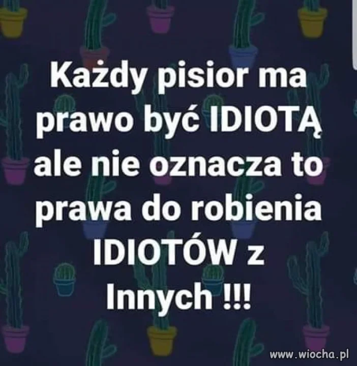 Kilka słów 