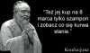 8 marca