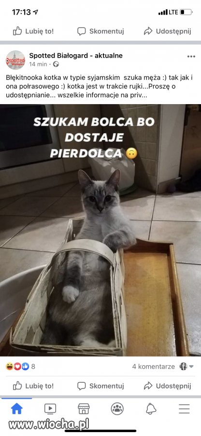 Szukam bolca ... miałłłlłłł...,..,,,...