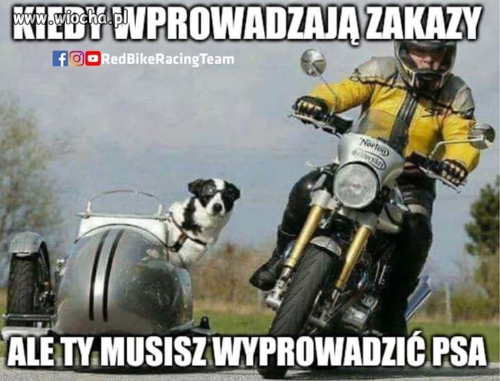 Trzeba sobie