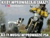 Trzeba sobie