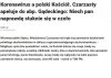 Głos rozsądku