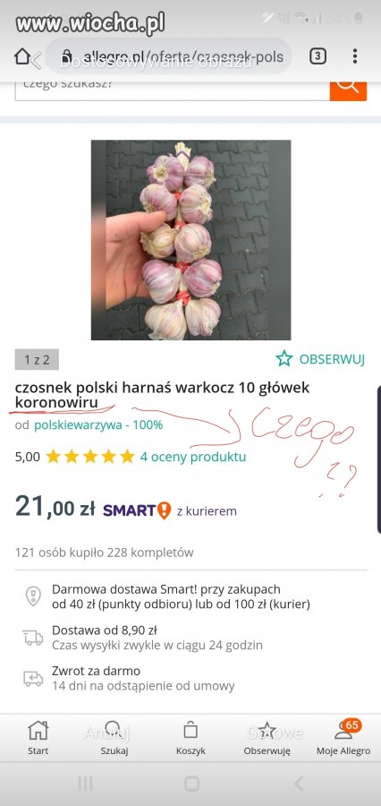 Czosnek