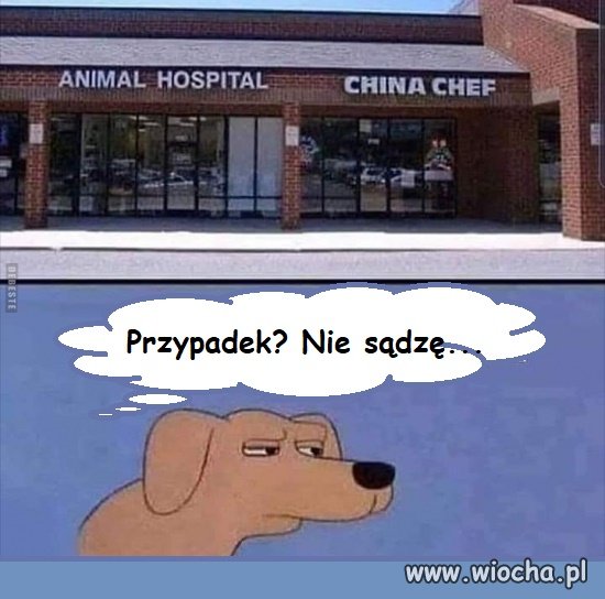 Przypadek?