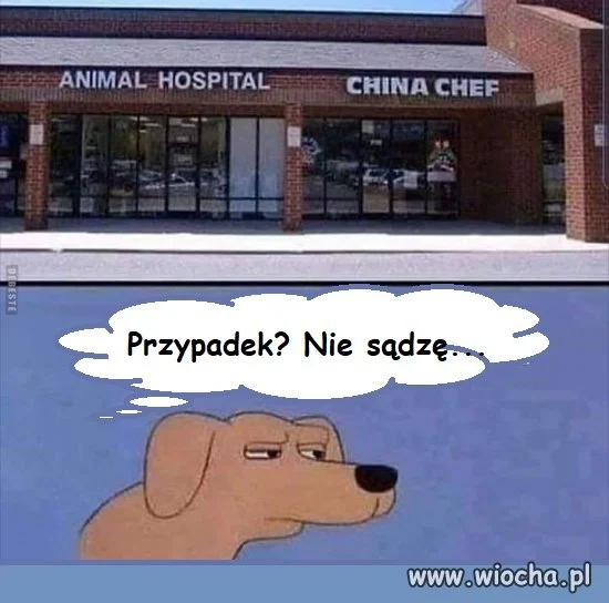 Przypadek?