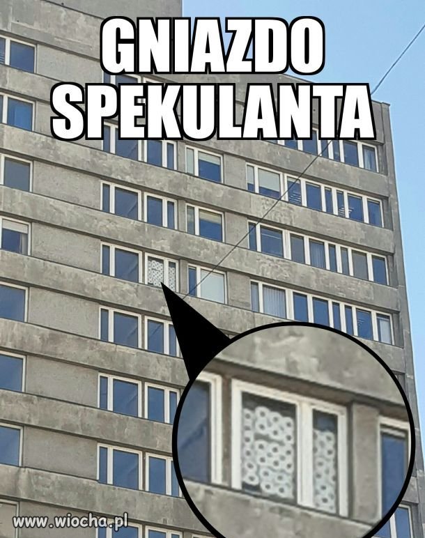Gniazdo spekulanta