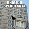 Gniazdo spekulanta