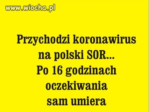 PiS od dawna miał plan