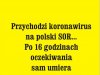 PiS od dawna miał plan