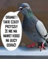 Ciężkie czasy