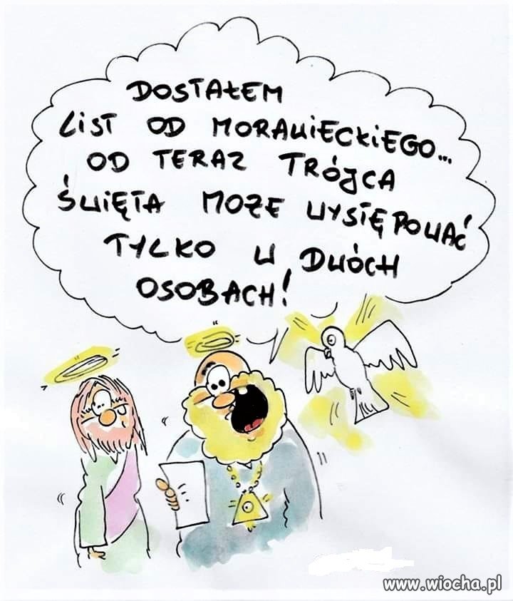 To co ? Gołąbek do gara ?