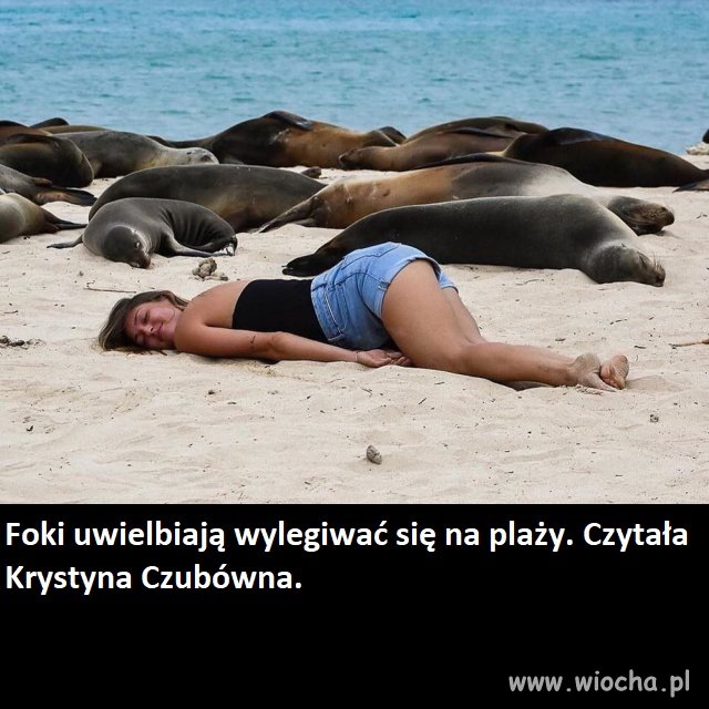Telewizja edukacyjna