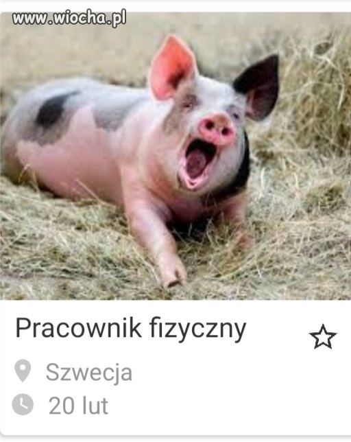 Jak nisko można cenić czyjąś godność?