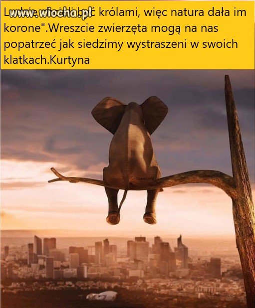 Matka natura