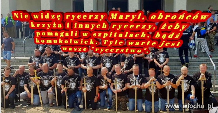 Ktoś ich widział?
