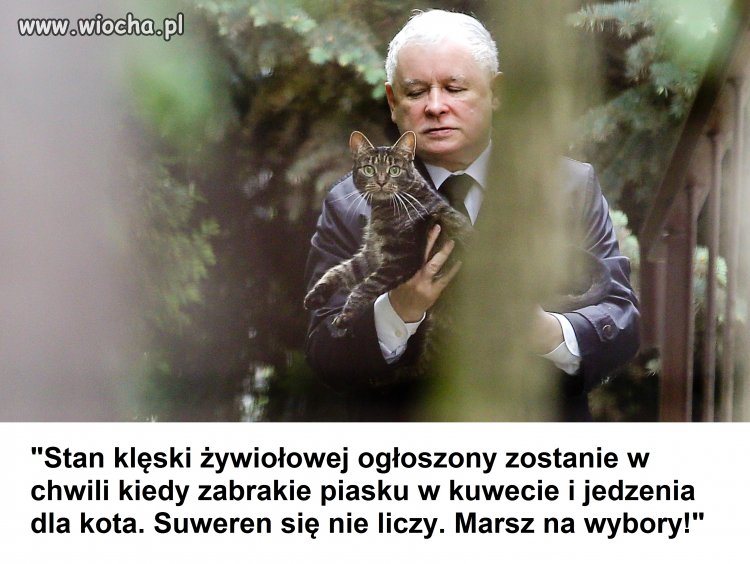 Suweren się już nie liczy!