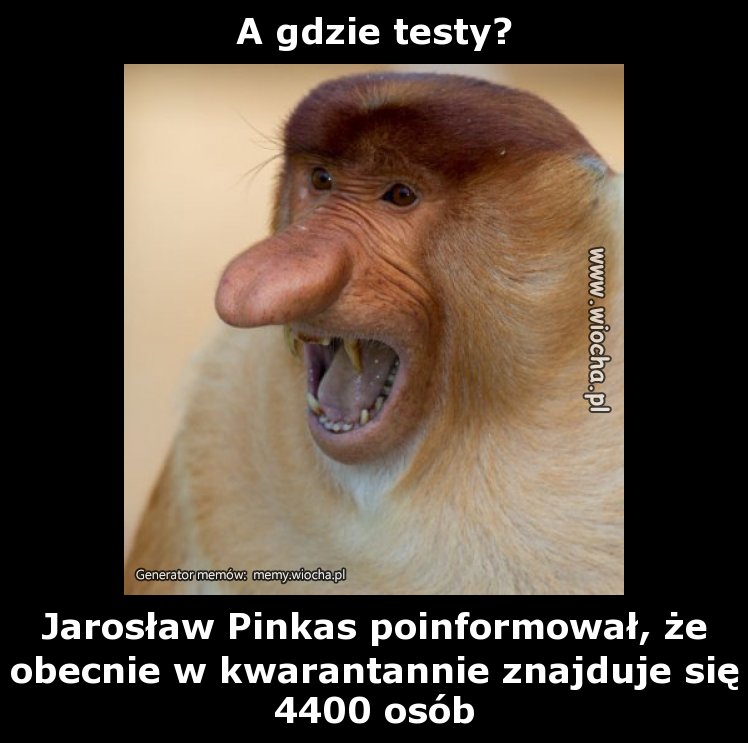 A gdzie testy?