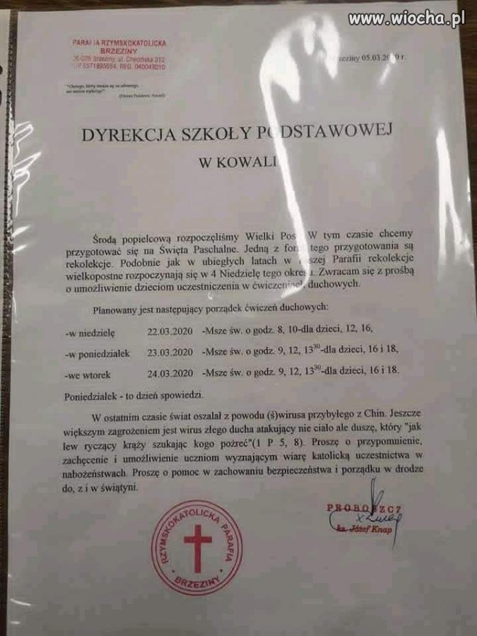 Świrus 
