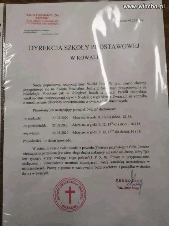 Świrus 