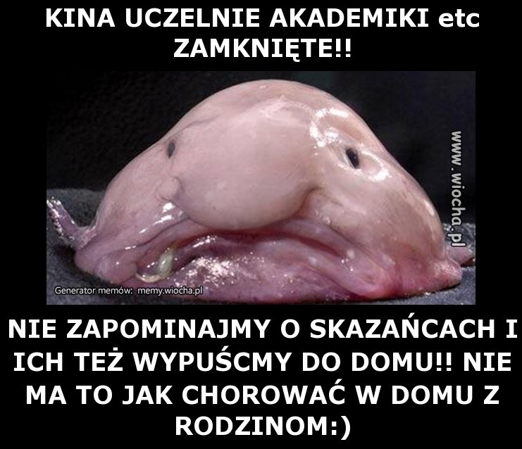 KINA UCZELNIE AKADEMIKI etc ZAMKNIĘTE!!