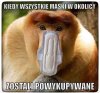 Kiedy wszystkie maski wykupione 