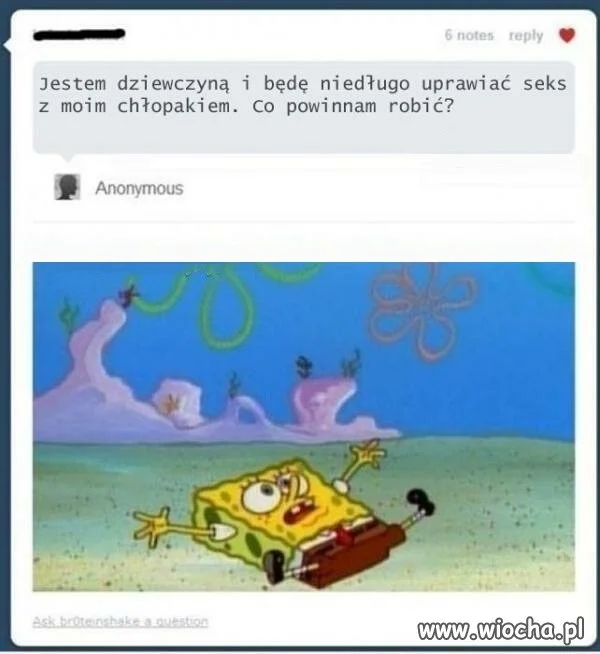 Edukacja w internecie