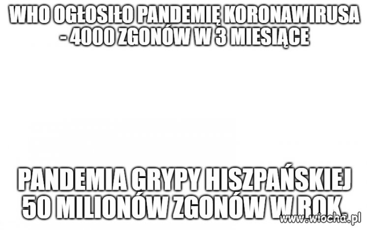 Paniki ciąg dalszy...