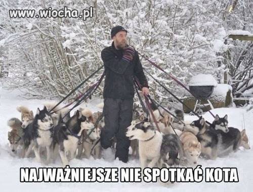 Tymczasem 