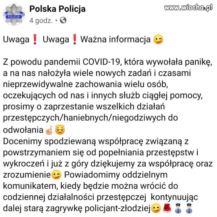 Polska Policja