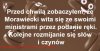 Kiedy mówisz coś innego niż robisz...