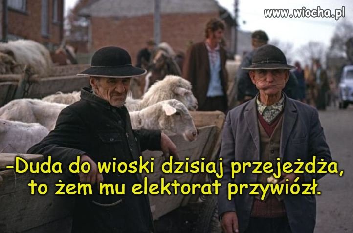 Czekając na Dudabus