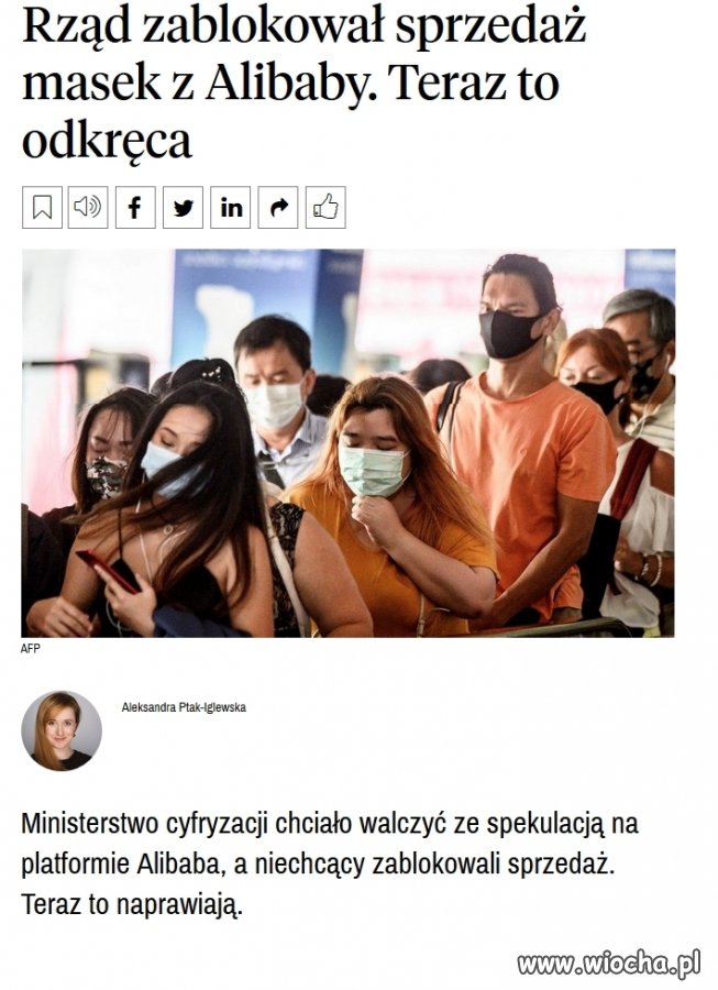 Pisowski rząd i kompetentni urzędnicy